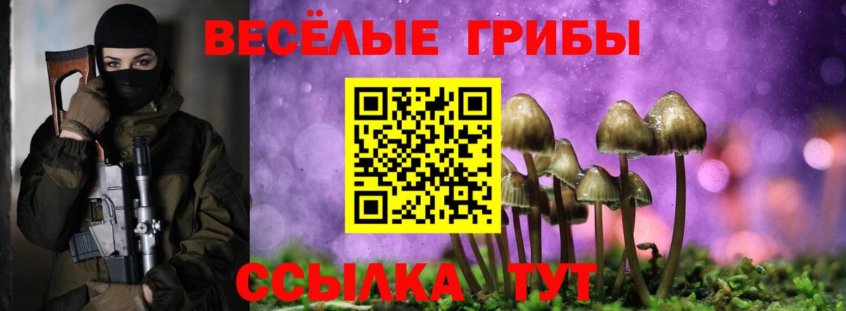 Усть-Лабинск  Галлюциногенные грибы Magic Shrooms  Вход с VPN 